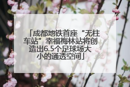 成都地铁首座“无柱车站”幸福梅林站将创造出6.5个足球场大小的通透空间
