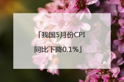 我国5月份CPI同比下降0.1%