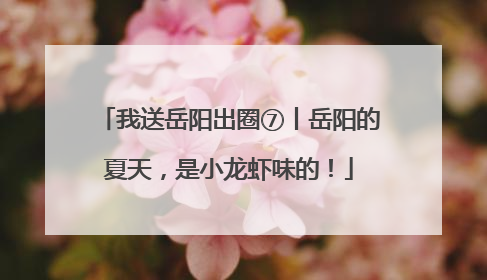 我送岳阳出圈⑦丨岳阳的夏天，是小龙虾味的！