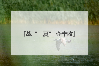 战“三夏” 夺丰收