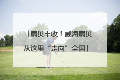 扇贝丰收！威海扇贝从这里“走向”全国