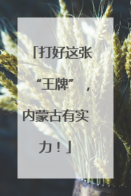 打好这张“王牌”，内蒙古有实力！