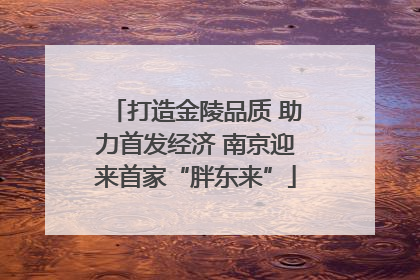 打造金陵品质 助力首发经济 南京迎来首家“胖东来”