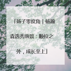 扬子零度角｜杨瀚森选秀前景：顺位之外，成长至上