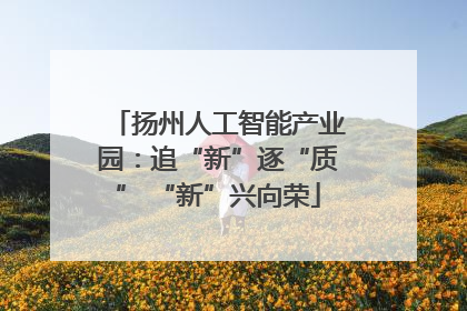 扬州人工智能产业园：追“新”逐“质” “新”兴向荣