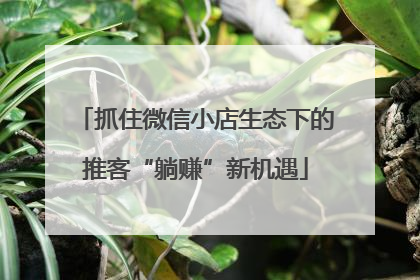 抓住微信小店生态下的推客“躺赚”新机遇