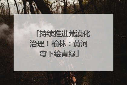 持续推进荒漠化治理！榆林：黄河弯下绘青绿