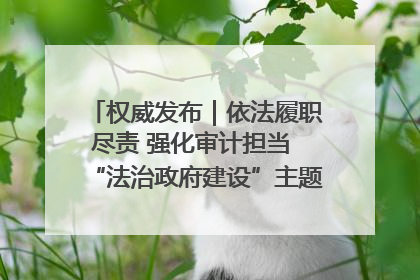 权威发布｜依法履职尽责 强化审计担当 “法治政府建设”主题系列新闻发布会市审计局专场召开