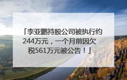 李亚鹏持股公司被执行约244万元，一个月前因欠税561万元被公告！