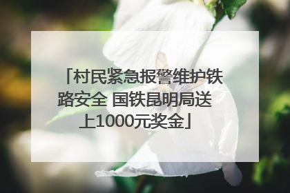 村民紧急报警维护铁路安全 国铁昆明局送上1000元奖金