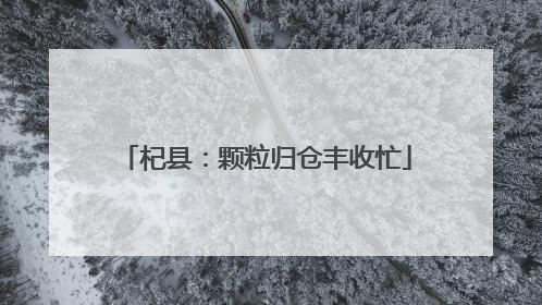 杞县：颗粒归仓丰收忙