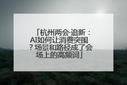 杭州两会·追新：AI如何让消费突围？场景和路径成了会场上的高频词
