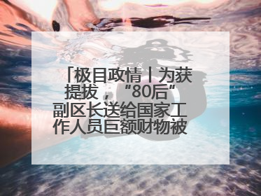 极目政情丨为获提拔，“80后”副区长送给国家工作人员巨额财物被“双开”