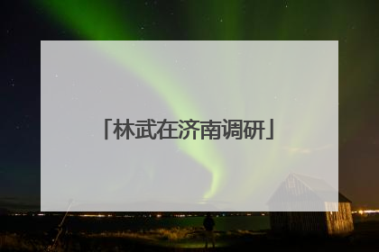 林武在济南调研