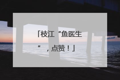 枝江“鱼医生”，点赞！