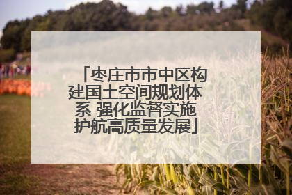 枣庄市市中区构建国土空间规划体系 强化监督实施护航高质量发展