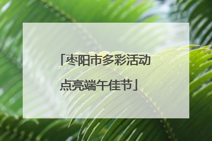 枣阳市多彩活动点亮端午佳节