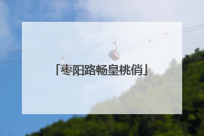 枣阳路畅皇桃俏