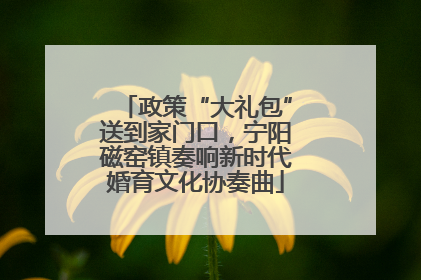 政策“大礼包”送到家门口，宁阳磁窑镇奏响新时代婚育文化协奏曲