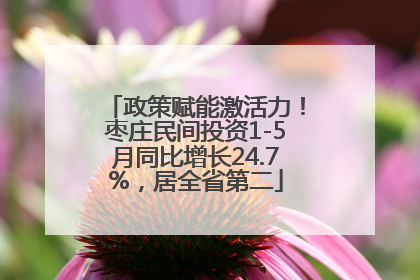政策赋能激活力！枣庄民间投资1-5月同比增长24.7%，居全省第二