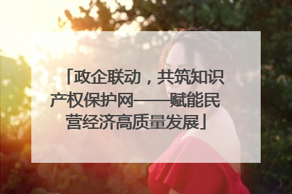 政企联动，共筑知识产权保护网——赋能民营经济高质量发展
