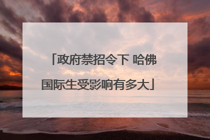 政府禁招令下 哈佛国际生受影响有多大