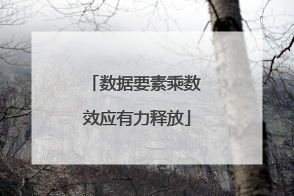 数据要素乘数效应有力释放