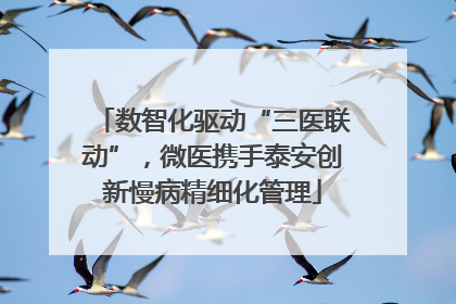 数智化驱动“三医联动”，微医携手泰安创新慢病精细化管理