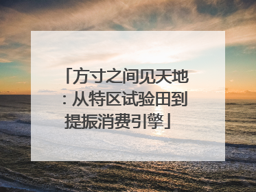 方寸之间见天地：从特区试验田到提振消费引擎