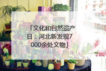 文化和自然遗产日：河北新发现7000余处文物