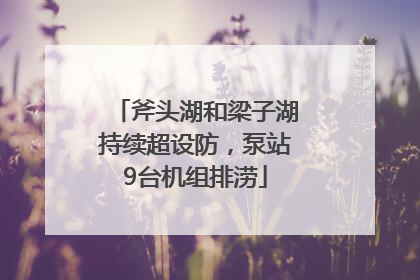 斧头湖和梁子湖持续超设防，泵站9台机组排涝