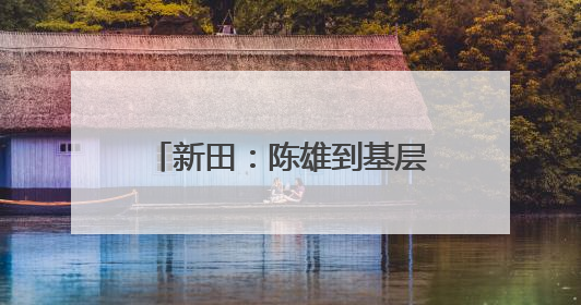 新田：陈雄到基层调研指导“十五五”规划编制与城乡品质大提升工作