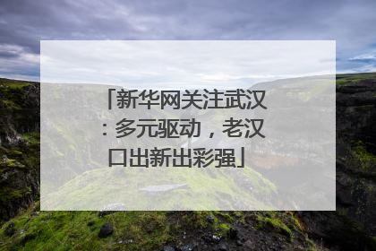新华网关注武汉：多元驱动，老汉口出新出彩强