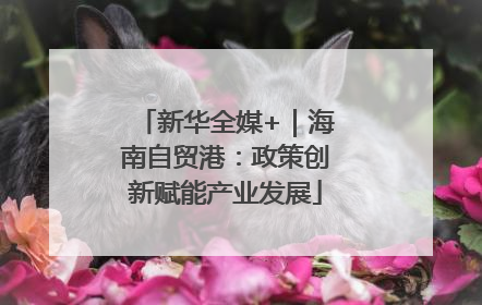 新华全媒+｜海南自贸港：政策创新赋能产业发展