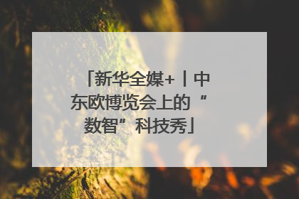 新华全媒+丨中东欧博览会上的“数智”科技秀
