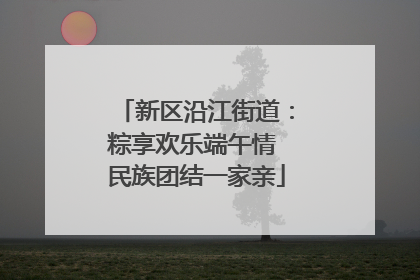 新区沿江街道：粽享欢乐端午情 民族团结一家亲
