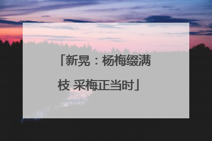 新晃：杨梅缀满枝 采梅正当时