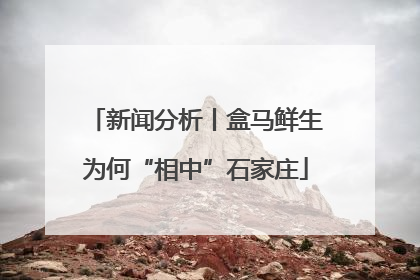 新闻分析丨盒马鲜生为何“相中”石家庄