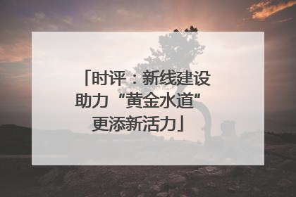 时评：新线建设助力“黄金水道”更添新活力