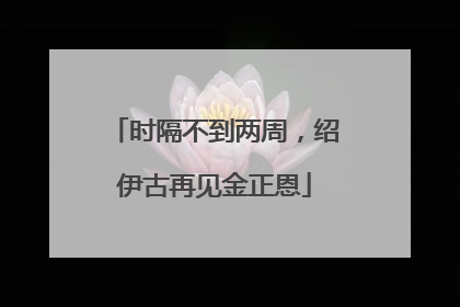 时隔不到两周，绍伊古再见金正恩
