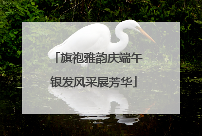 旗袍雅韵庆端午 银发风采展芳华