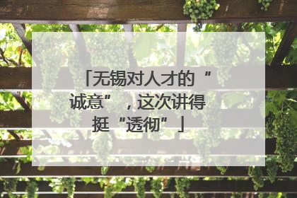 无锡对人才的“诚意”，这次讲得挺“透彻”