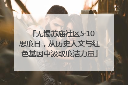 无锡苏庙社区5·10思廉日，从历史人文与红色基因中汲取廉洁力量