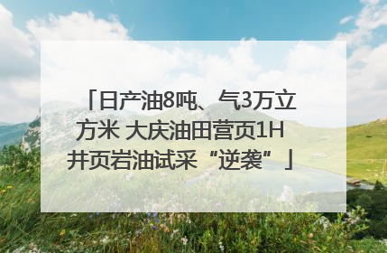 日产油8吨、气3万立方米 大庆油田营页1H井页岩油试采“逆袭”