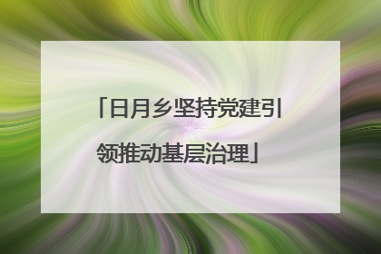 日月乡坚持党建引领推动基层治理