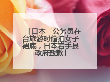 日本一公务员在台旅游时偷拍女子裙底，日本岩手县政府致歉
