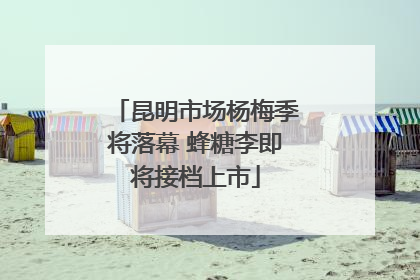 昆明市场杨梅季将落幕 蜂糖李即将接档上市