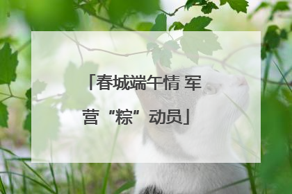 春城端午情 军营“粽”动员