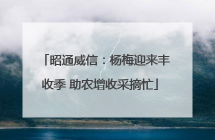 昭通威信：杨梅迎来丰收季 助农增收采摘忙