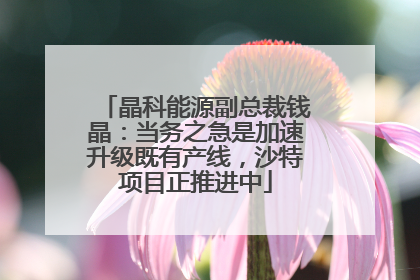 晶科能源副总裁钱晶：当务之急是加速升级既有产线，沙特项目正推进中